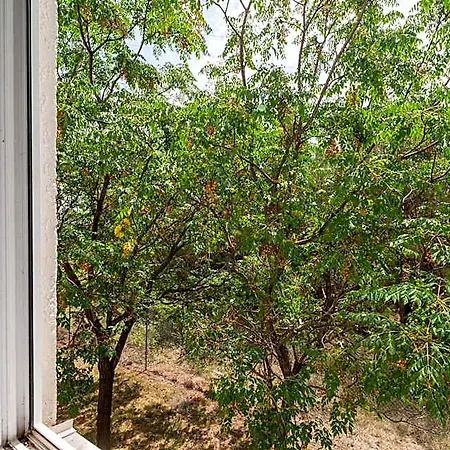 Montpellier 1 Otel 2*